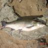 DSC07207.JPG