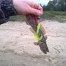 20102011066.jpg