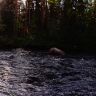 DSC03003.JPG