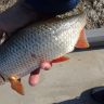 IMG_20150502_154206.jpg
