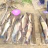 DSC01152.JPG