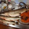 DSC02132.JPG