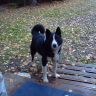 DSC01763.JPG