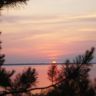 DSC07745.JPG