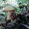 DSC01455.JPG