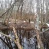 20140325_165657.jpg