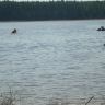 DSC04053.JPG