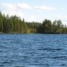IMG_1001.JPG