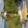 DSC04229.JPG