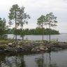 IMG_0018.JPG