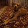 DSC00506.JPG