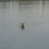 DSC00175.JPG