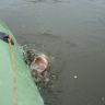 DSC02756.JPG