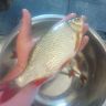 DSC00211.JPG