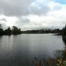 DSC01441.JPG