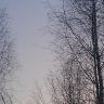 IMAG0907.jpg