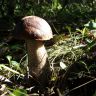 DSC01453.JPG