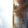 IMG_20141122_141039.jpg