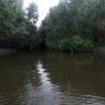 DSC01813.JPG