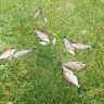 IMG_20190906_101853.jpg