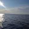 DSC_2660.JPG