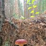 photo_00033.jpg