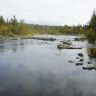 DSC03519.JPG