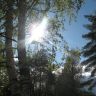 IMG_0755.JPG