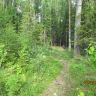 IMG_0191.JPG