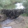 DSC00196.JPG