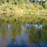 IMG_20140803_084920.jpg