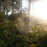 20170828_063227.jpg