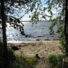 IMG_0323.jpg