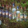 DSC03029.JPG