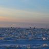 0_95965_9844cec5_XL.jpg