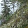 DSC02980.JPG