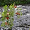 DSC03007.JPG