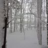 20170326_155212.jpg
