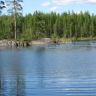 IMG_0250.jpg