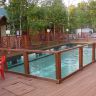 DSC01341.JPG