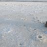 IMG_1483.JPG