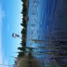 20180527_062745.jpg