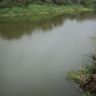 DSC00184.JPG