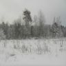DSCN1444.jpg