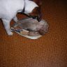 DSCN2509.JPG