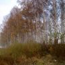 14102012994.jpg