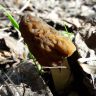 20180509_093853.jpg