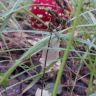 2012-08-31-666.jpg