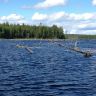 photo_00342.jpg