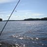 DSC02615.JPG